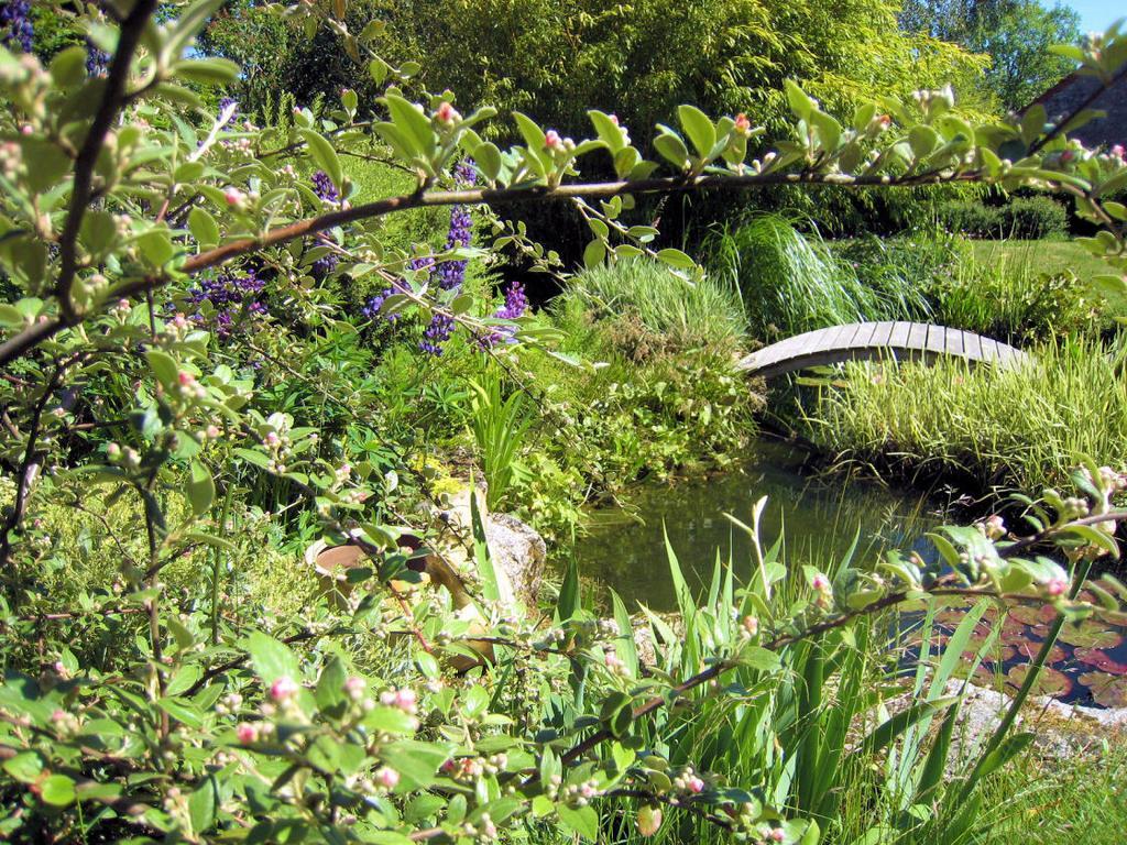 La Clef Des Champs Bed and Breakfast La Roche-en-Brenil Buitenkant foto